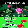 '안녕하세요? 5월도 어' 글에 포함된 이미지