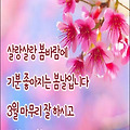 '중년 이후의 얼굴은 ' 글에 포함된 이미지