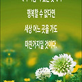 '우리가 아무리 멀리 ' 글에 포함된 이미지