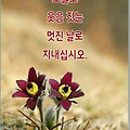 '빗방울이 한두 방울 ' 글에 포함된 이미지