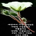 '일부러 아픔의 쓴잔을' 글에 포함된 이미지
