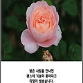 '삶을 살면서 떠나버린' 글에 포함된 이미지