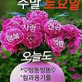 '안녕하세요? 즐거운 ' 글에 포함된 이미지