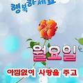 '안녕하세요? 새로운 ' 글에 포함된 이미지