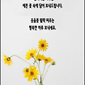 '진심만을 말하라. 상' 글에 포함된 이미지