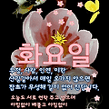 '출첵합니다 감기조심' 글에 포함된 이미지