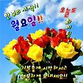 '안녕하세요? 울님들 ' 글에 포함된 이미지