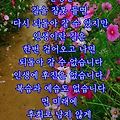'안녕하세요?좋은 계절' 글에 포함된 이미지
