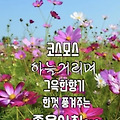 '안녕하세요? 새로운 9' 글에 포함된 이미지