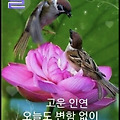 '안녕하세요? 즐거운 ' 글에 포함된 이미지