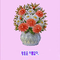 '하루 세끼 먹을 수 있' 글에 포함된 이미지