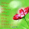 '' 글에 포함된 이미지