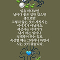 '비는 내려도 화사하게' 글에 포함된 이미지