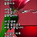 '꿈을 잃어버리는 순간' 글에 포함된 이미지