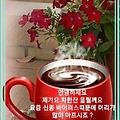 '봄을 제촉하는 비가 ' 글에 포함된 이미지
