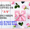 '' 글에 포함된 이미지