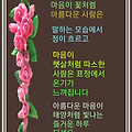 '4월의 마지막 주말 입' 글에 포함된 이미지