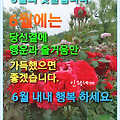 '' 글에 포함된 이미지