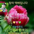 '안녕하세요? 수없이 ' 글에 포함된 이미지