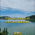 '장미가 좋아 꺾었더니' 글에 포함된 이미지