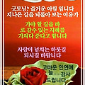 '편안하고사랑이 함께' 글에 포함된 이미지