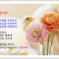 '' 글에 포함된 이미지