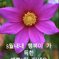'안녕하세요? 즐겁고 ' 글에 포함된 이미지