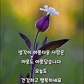 '구겨진 옷은 다림질하' 글에 포함된 이미지