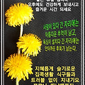 '힘겹게 달려온 한주도' 글에 포함된 이미지
