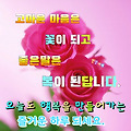 '' 글에 포함된 이미지