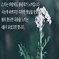 '천국은 얼마든지 마음' 글에 포함된 이미지