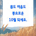 '매일 감사하면 감사한' 글에 포함된 이미지