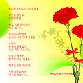 '' 글에 포함된 이미지