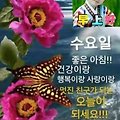 '안녕하세요? 오늘도 ' 글에 포함된 이미지