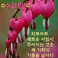 '안녕하세요? 오늘도 ' 글에 포함된 이미지