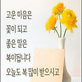'세월을 이길 장사는 ' 글에 포함된 이미지
