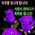 '안녕하세요? 새로운 ' 글에 포함된 이미지