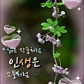 '세상을 바라보고 받아' 글에 포함된 이미지