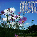 '이밤도 잠이 아놔 가' 글에 포함된 이미지