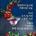 '노년에 가장 필요한 ' 글에 포함된 이미지