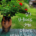 '때때로 자신의 과거 ' 글에 포함된 이미지