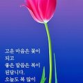 '안녕하세요?밤새 비바' 글에 포함된 이미지