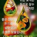 '안녕하세요? 오늘 주' 글에 포함된 이미지