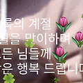 '안녕하세요? 새로운 6' 글에 포함된 이미지