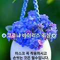 '.'' 글에 포함된 이미지
