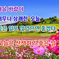 '' 글에 포함된 이미지