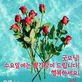 '안연하세요 ? 즐거운 ' 글에 포함된 이미지