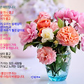 '' 글에 포함된 이미지