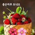 '안녕하세요? 즐겁고 ' 글에 포함된 이미지