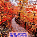 '서로 마음 든든한 사' 글에 포함된 이미지